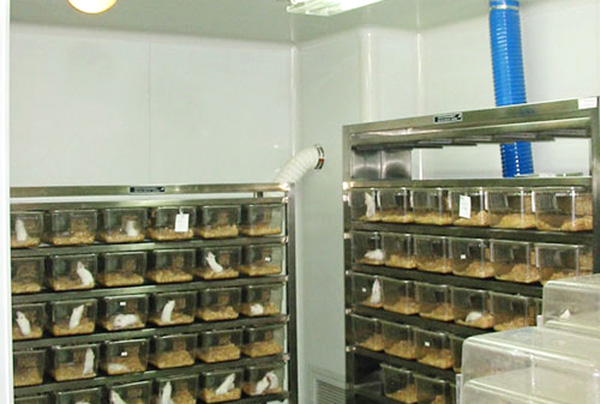 萬級淨化培菌室